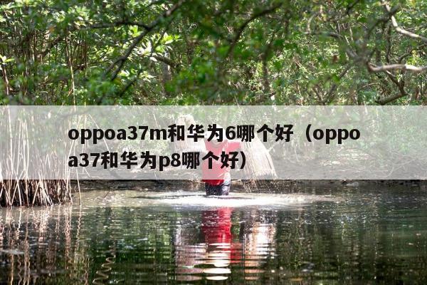 oppoa37m和华为6哪个好（oppoa37和华为p8哪个好）