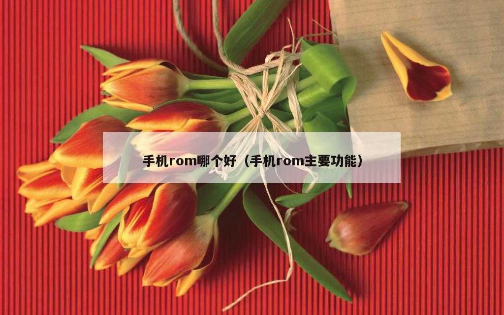 手机rom哪个好（手机rom主要功能）