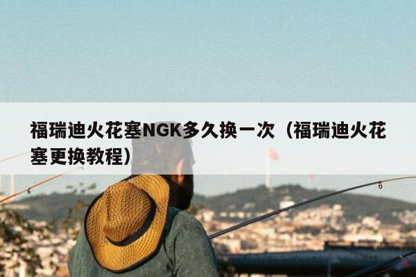 福瑞迪火花塞NGK多久换一次（福瑞迪火花塞更换教程）