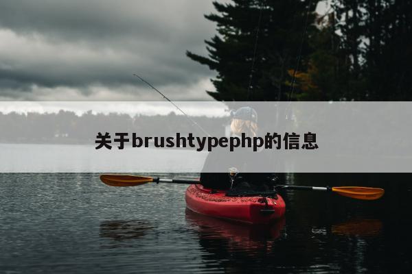 关于brushtypephp的信息