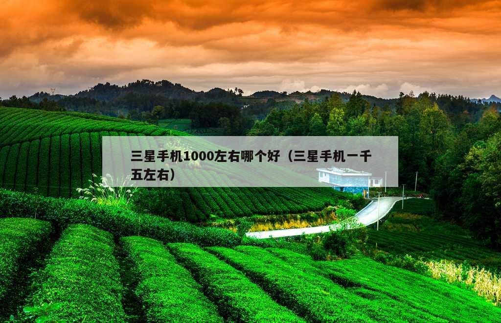 三星手机1000左右哪个好（三星手机一千五左右）