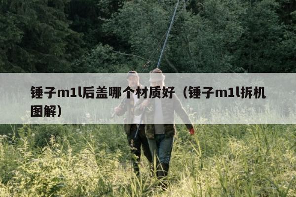 锤子m1l后盖哪个材质好（锤子m1l拆机图解）