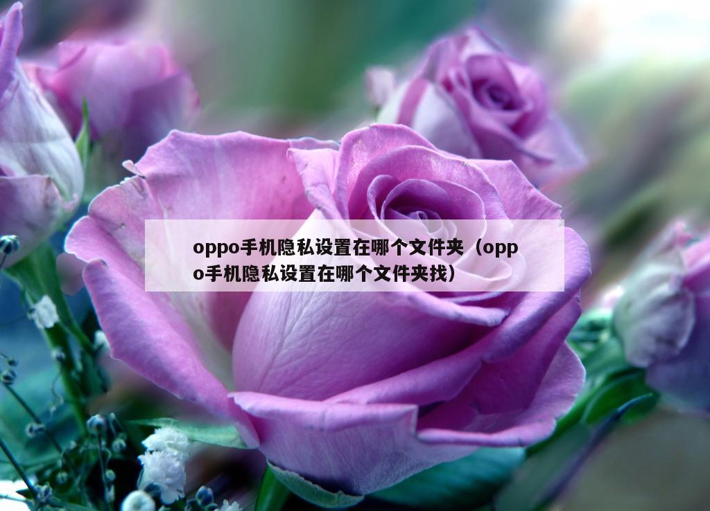 oppo手机隐私设置在哪个文件夹（oppo手机隐私设置在哪个文件夹找）