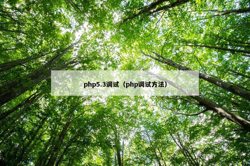 php5.3调试（php调试方法）