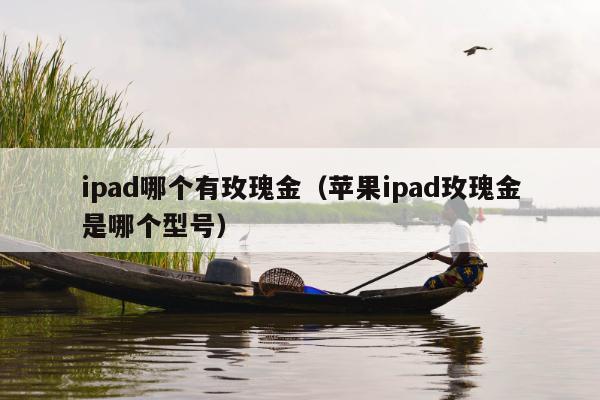 ipad哪个有玫瑰金（苹果ipad玫瑰金是哪个型号）