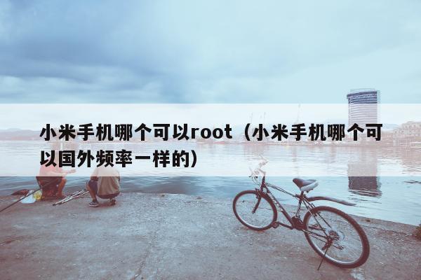 小米手机哪个可以root（小米手机哪个可以国外频率一样的）