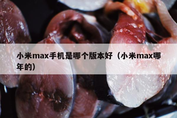 小米max手机是哪个版本好（小米max哪年的）