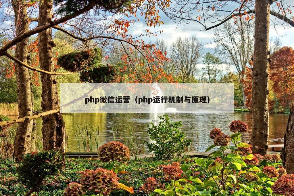 php微信运营（php运行机制与原理）