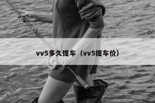 vv5多久提车（vv5提车价）