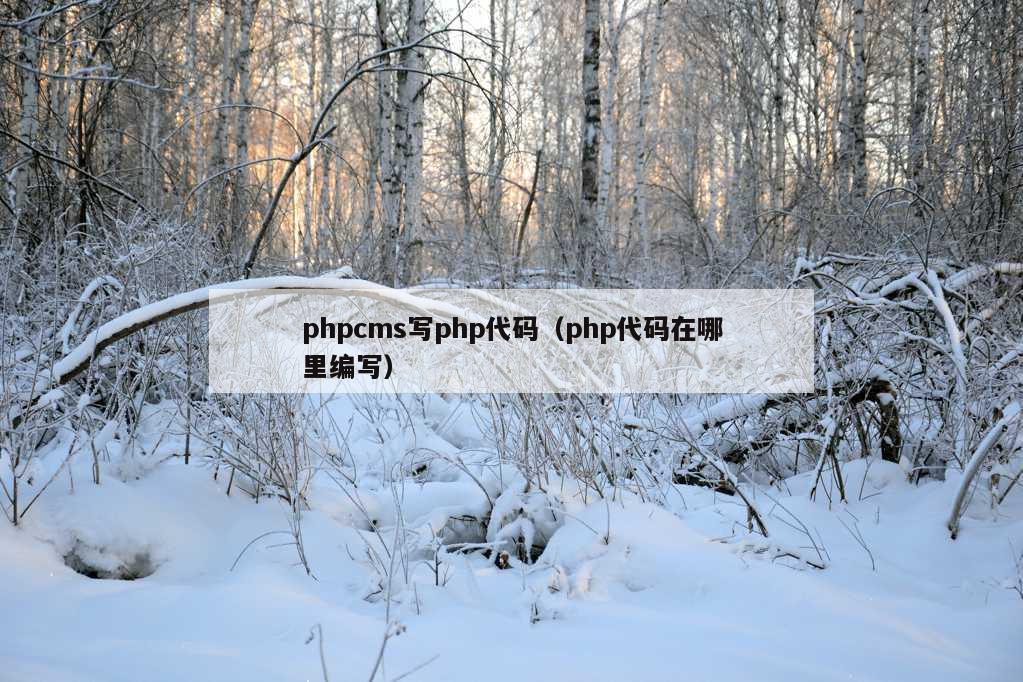 phpcms写php代码（php代码在哪里编写）