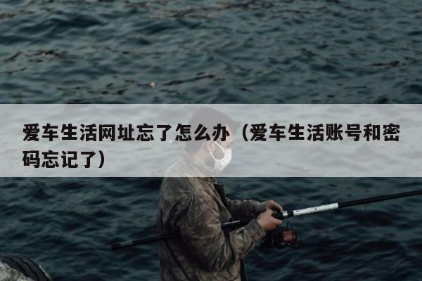 爱车生活网址忘了怎么办（爱车生活账号和密码忘记了）