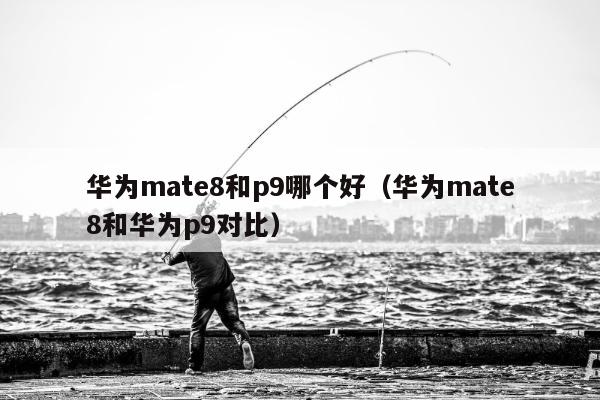 华为mate8和p9哪个好（华为mate8和华为p9对比）