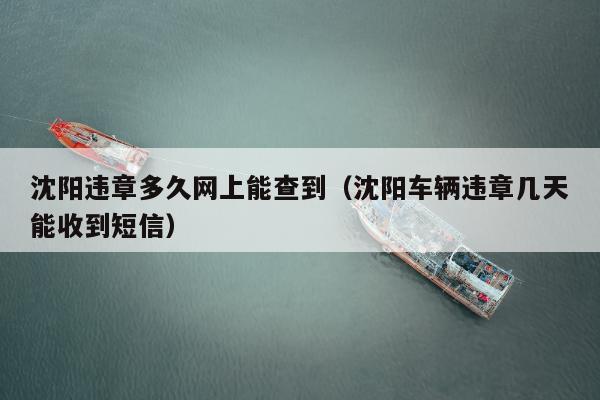 沈阳违章多久网上能查到（沈阳车辆违章几天能收到短信）