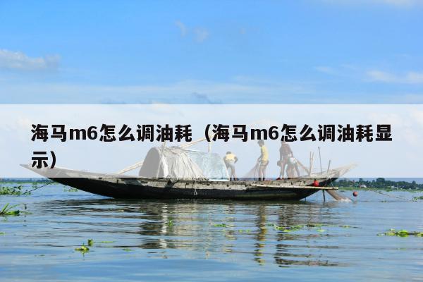 海马m6怎么调油耗（海马m6怎么调油耗显示）