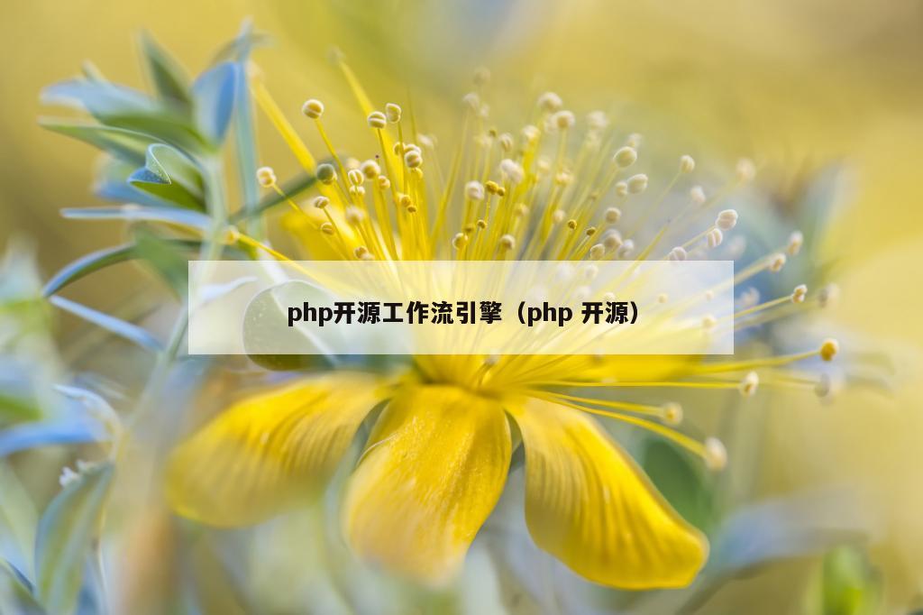 php开源工作流引擎（php 开源）