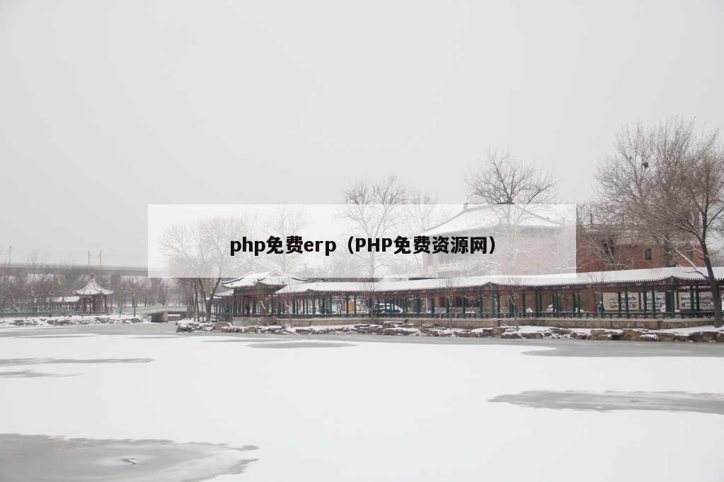 php免费erp（PHP免费资源网）