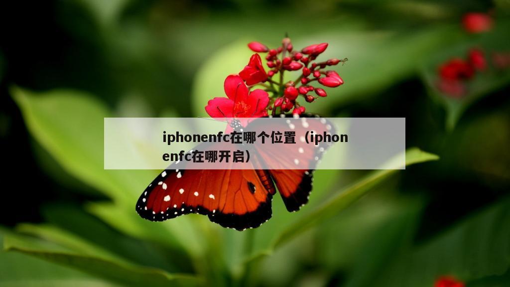 iphonenfc在哪个位置（iphonenfc在哪开启）