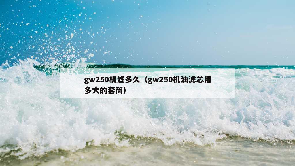 gw250机滤多久（gw250机油滤芯用多大的套筒）