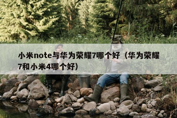 小米note与华为荣耀7哪个好（华为荣耀7和小米4哪个好）