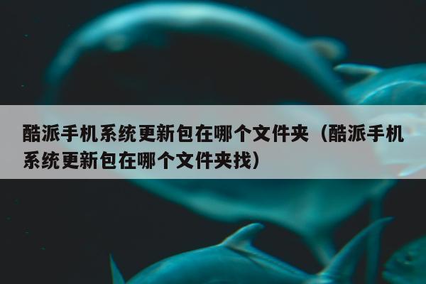 酷派手机系统更新包在哪个文件夹（酷派手机系统更新包在哪个文件夹找）