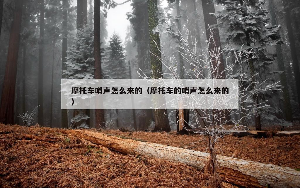 摩托车哨声怎么来的（摩托车的哨声怎么来的）