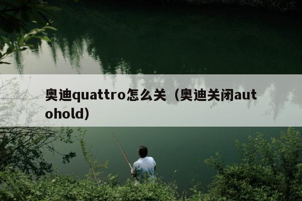 奥迪quattro怎么关（奥迪关闭autohold）