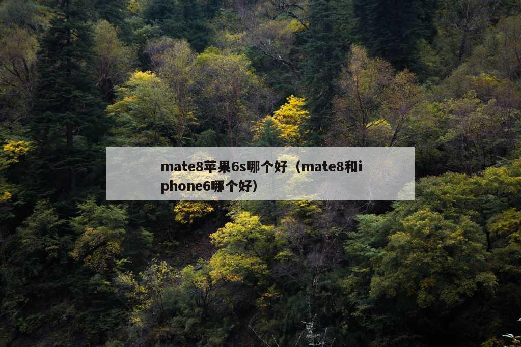 mate8苹果6s哪个好（mate8和iphone6哪个好）