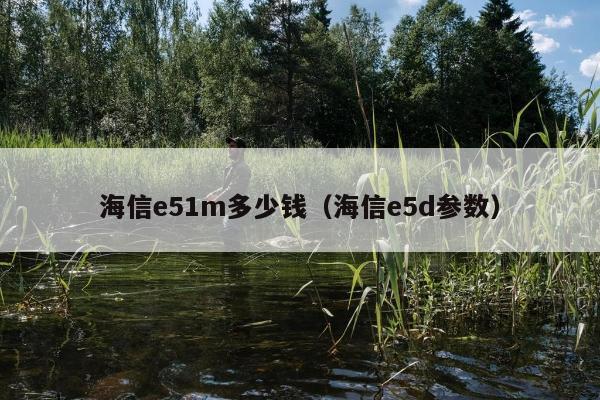 海信e51m多少钱（海信e5d参数）