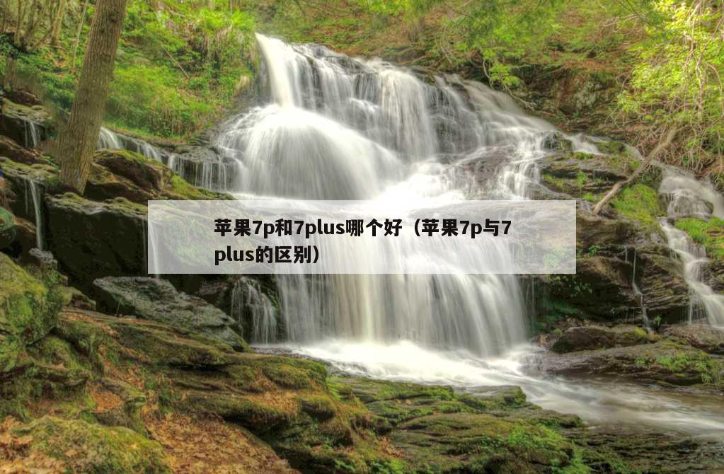 苹果7p和7plus哪个好（苹果7p与7plus的区别）