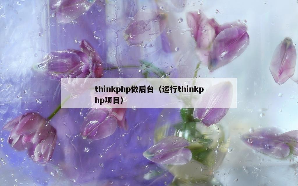 thinkphp做后台（运行thinkphp项目）