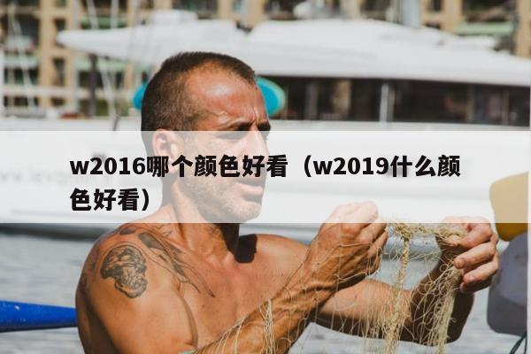 w2016哪个颜色好看（w2019什么颜色好看）