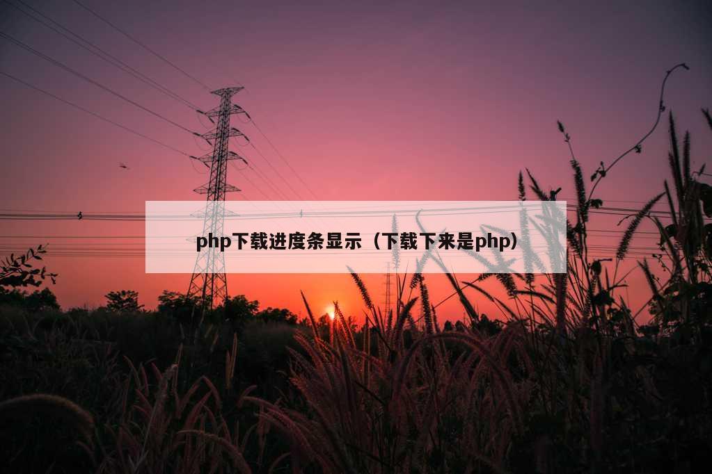 php下载进度条显示（下载下来是php）