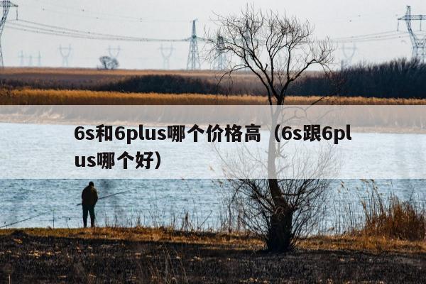 6s和6plus哪个价格高（6s跟6plus哪个好）