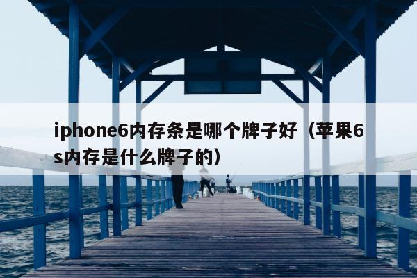 iphone6内存条是哪个牌子好（苹果6s内存是什么牌子的）