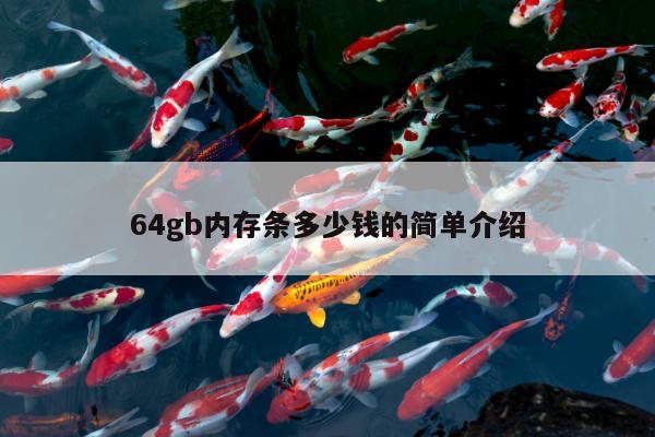 64gb内存条多少钱的简单介绍