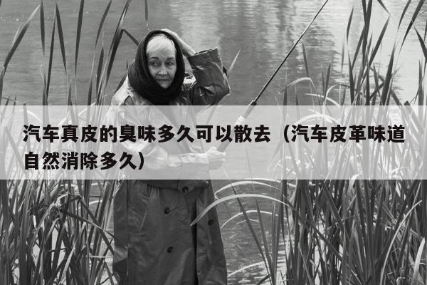 汽车真皮的臭味多久可以散去（汽车皮革味道自然消除多久）