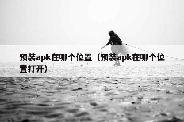 预装apk在哪个位置（预装apk在哪个位置打开）