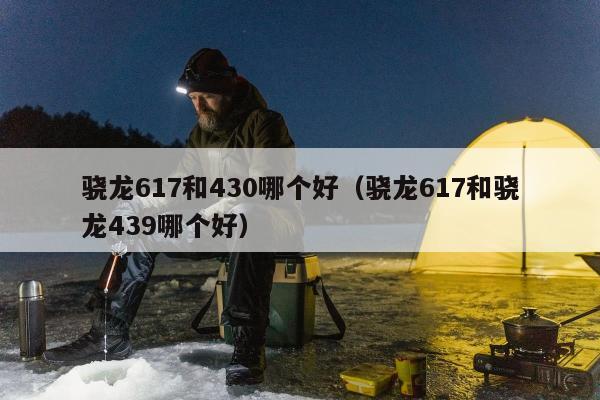 骁龙617和430哪个好（骁龙617和骁龙439哪个好）