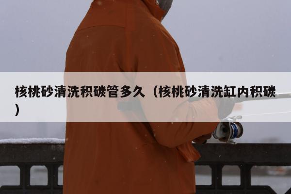 核桃砂清洗积碳管多久（核桃砂清洗缸内积碳）