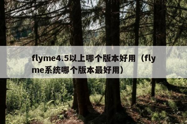 flyme4.5以上哪个版本好用（flyme系统哪个版本最好用）