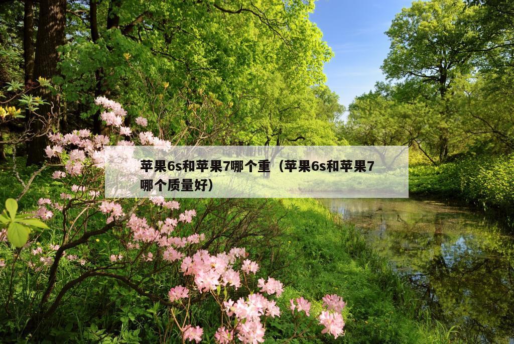 苹果6s和苹果7哪个重（苹果6s和苹果7哪个质量好）