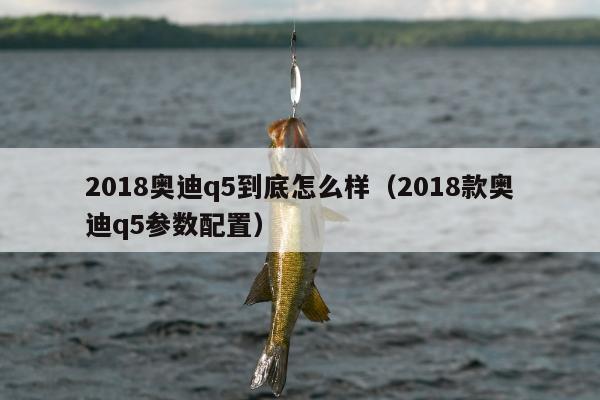 2018奥迪q5到底怎么样（2018款奥迪q5参数配置）