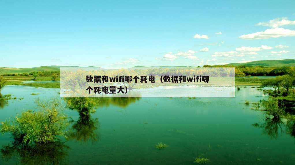 数据和wifi哪个耗电（数据和wifi哪个耗电量大）