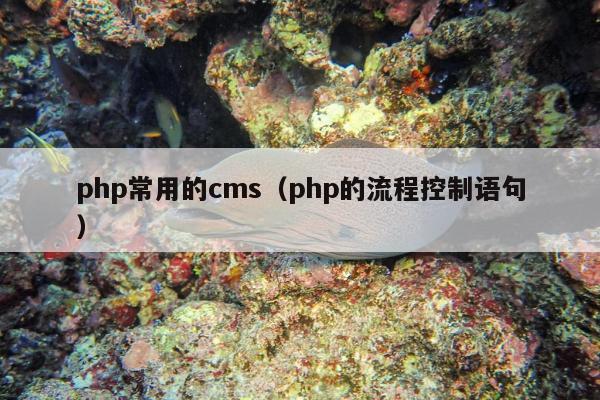 php常用的cms（php的流程控制语句）