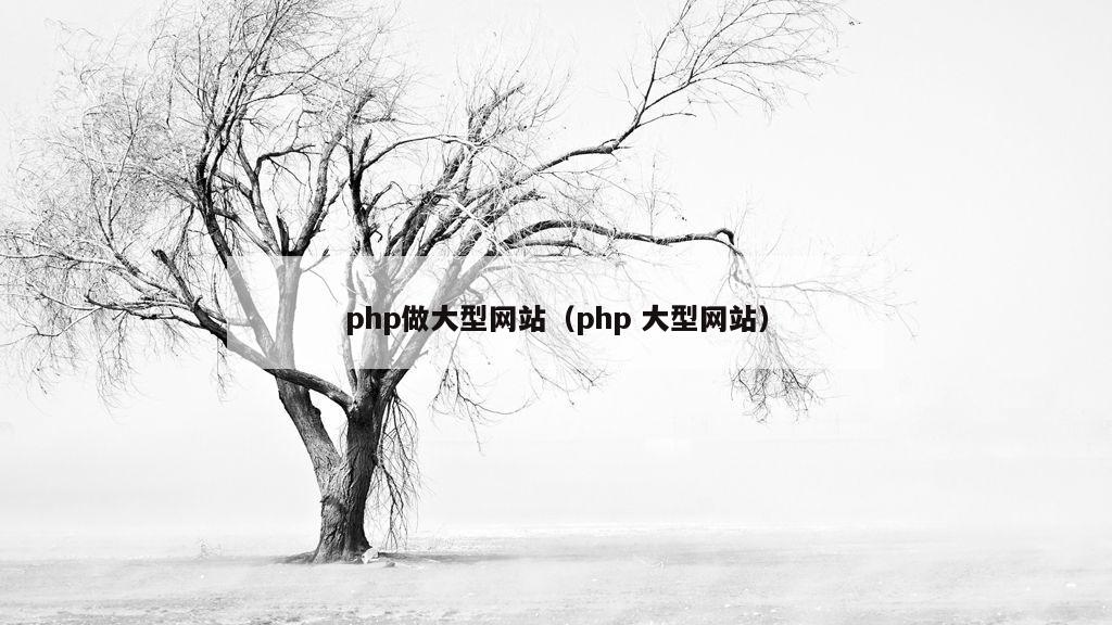 php做大型网站（php 大型网站）