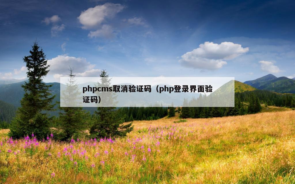 phpcms取消验证码（php登录界面验证码）