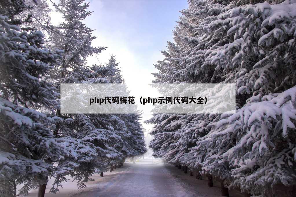 php代码梅花（php示例代码大全）