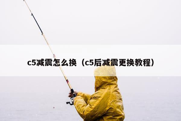 c5减震怎么换（c5后减震更换教程）