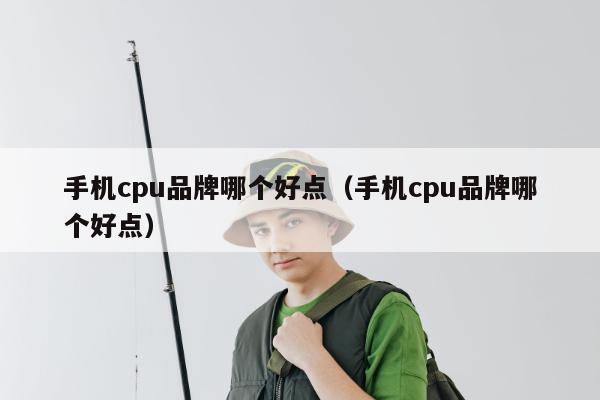 手机cpu品牌哪个好点（手机cpu品牌哪个好点）