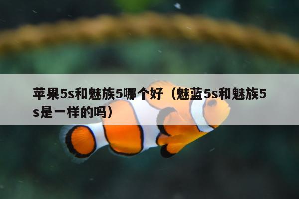 苹果5s和魅族5哪个好（魅蓝5s和魅族5s是一样的吗）